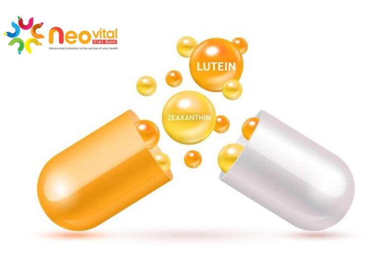 Lutein và zeaxanthin là 2 loại carotenoid tham gia vào cấu tạo hoàng thể mắt